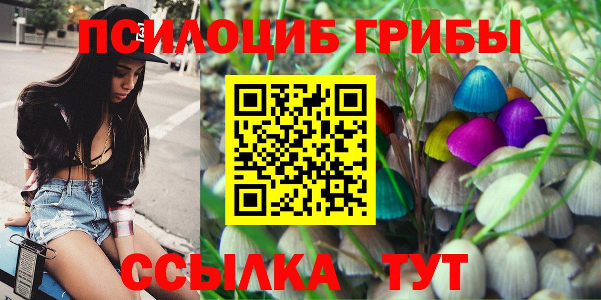 Галлюциногенные грибы ЛСД Северобайкальск