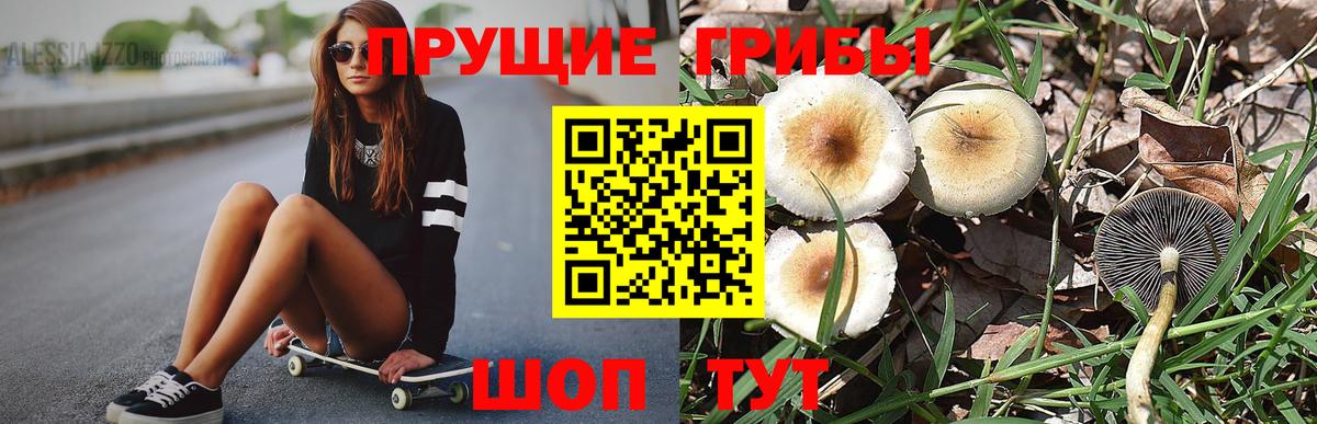 Псилоцибиновые грибы Magic Shrooms  Вход с VPN  Северобайкальск 