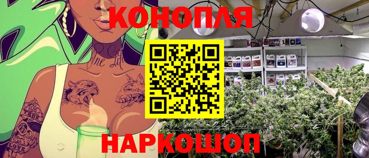 Марихуана LSD WEED  Конопля White Widow  Северобайкальск  Конопля гибрид  Марихуана план  Вход с VPN 